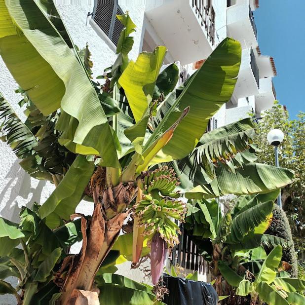 Nora Velha T1 Apartman Tavira Kültér fotó